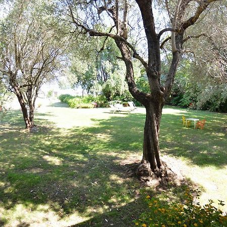 Casa Romana Viareggio Kültér fotó