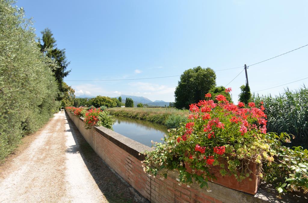 Casa Romana Viareggio Kültér fotó