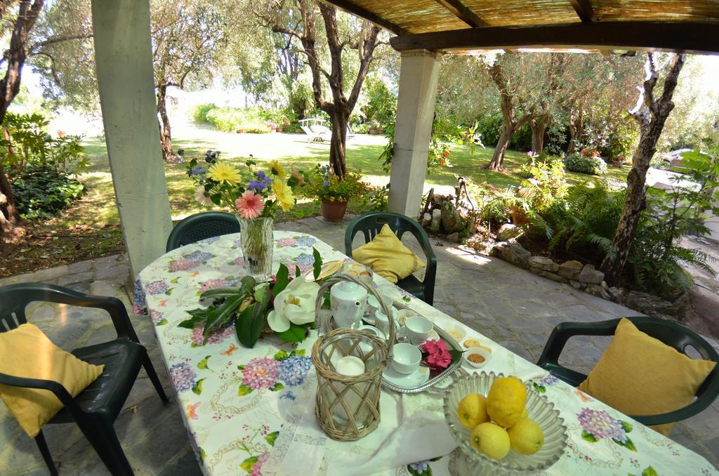 Casa Romana Viareggio Kültér fotó