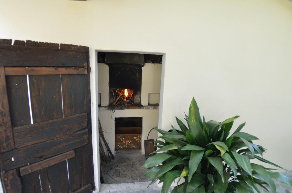 Casa Romana Viareggio Kültér fotó